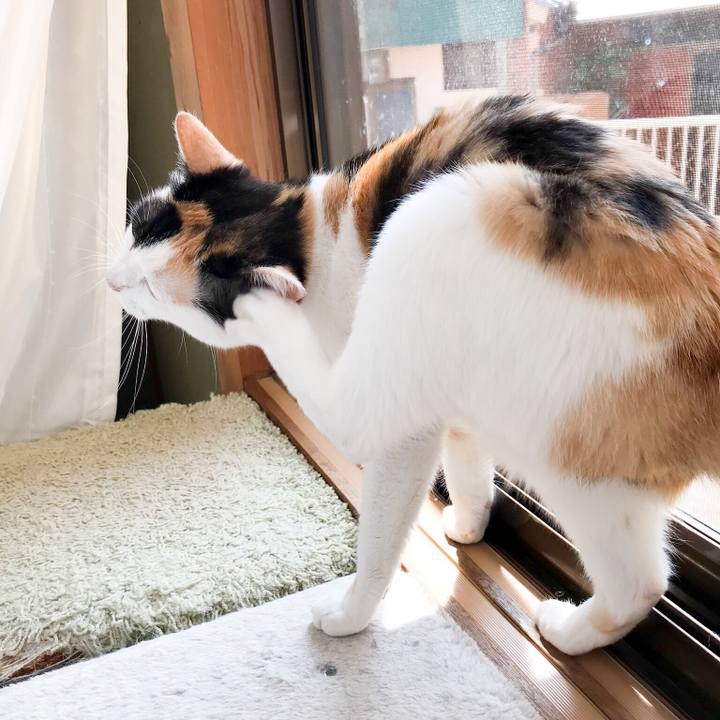 28061880 51c1 46ba b1d8 f0e46ecf706f 1531015812761