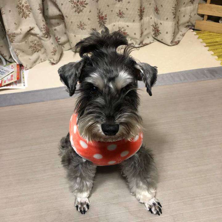 28062dd7 0151 45a1 910e f4be9197c079 1607263333114