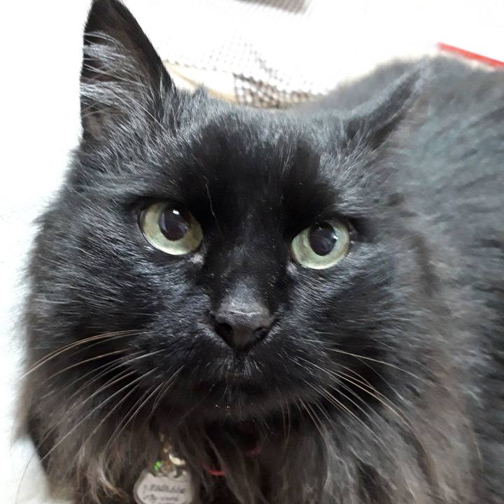 28068063 a1aa 4d9d 9538 7eb33fe66087 1524655556343