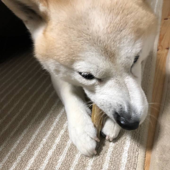 2806819f 936c 4aab a69e 76b9277797df 1550734011715