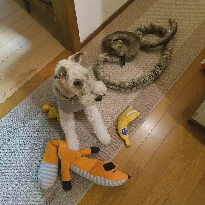 2806dc6b c419 4f9c b4a3 3339d31467fb 1585654961148