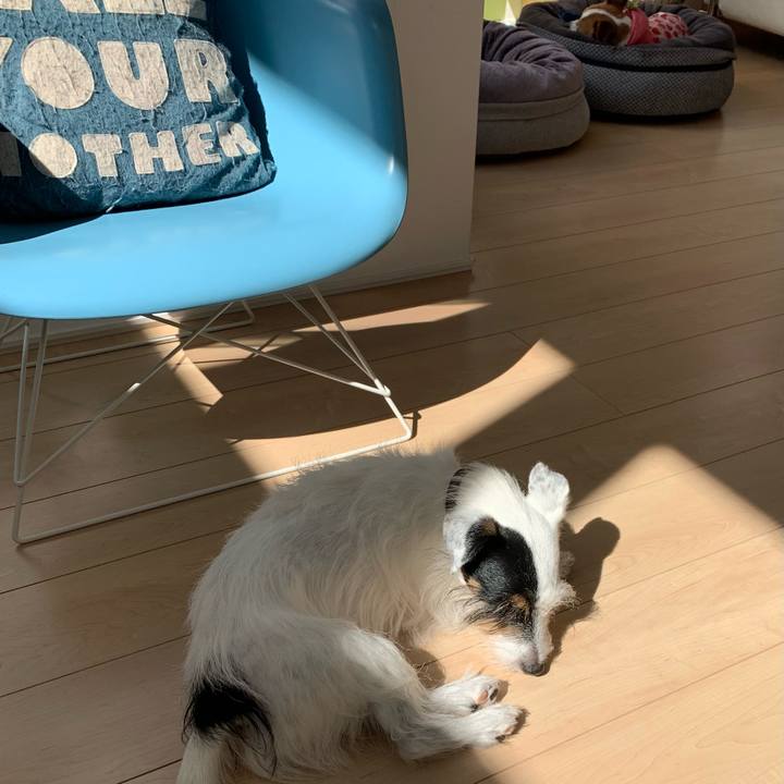 280701e0 a596 4f43 afd9 364b65add2f3 1634695934004