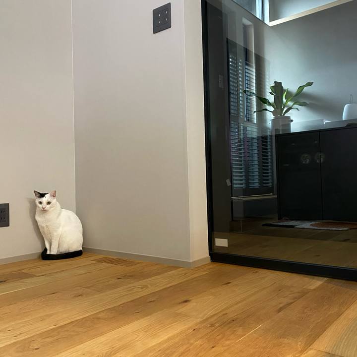 28070549 b435 49a6 922d 7f1e46e12c55 1729901009252