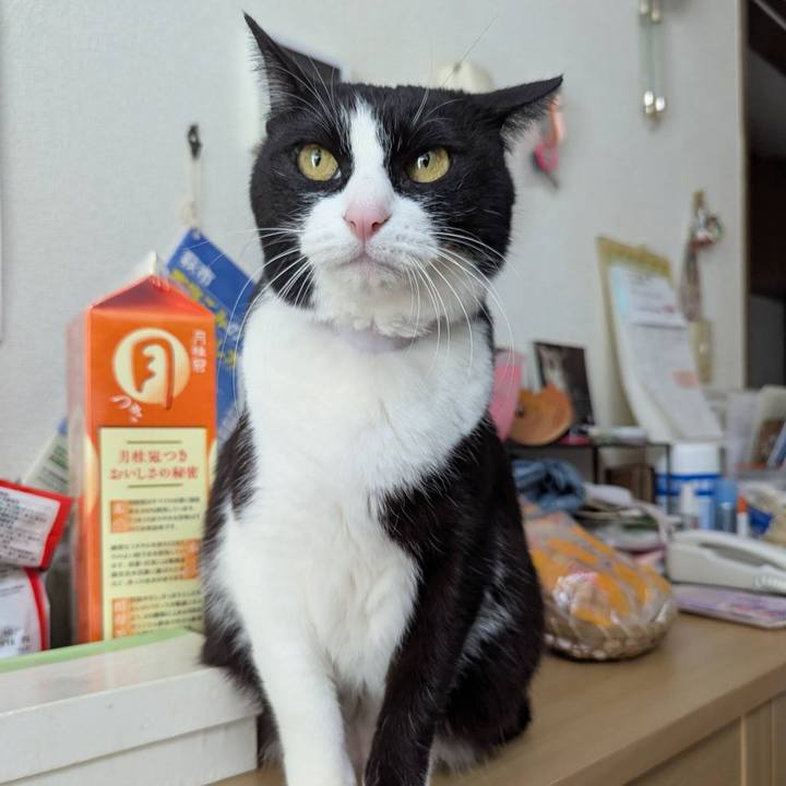 28073692 0866 4eea b81d a58a687cfee4 1739173257597