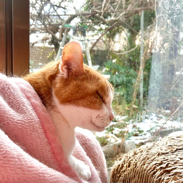 28074cc8 0520 44ca bfbc 54a19396c06a 1736656581311