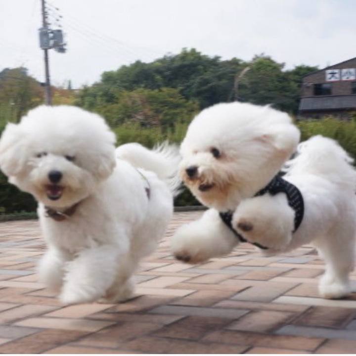 28076f3f fad6 4533 9fb9 7a9206f0763d 1735120972145