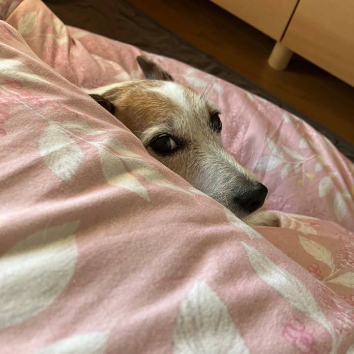 2807d36a a603 430c 88b2 f5871c6a584c 1733959509032