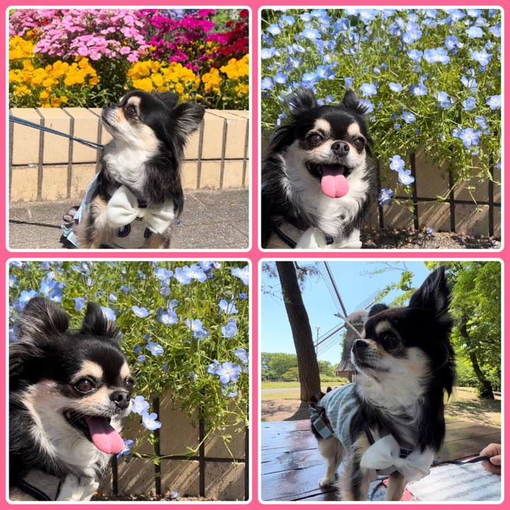 2807f2cd 6660 4ec1 911d a4a0aa4d0fd0 1683093818662