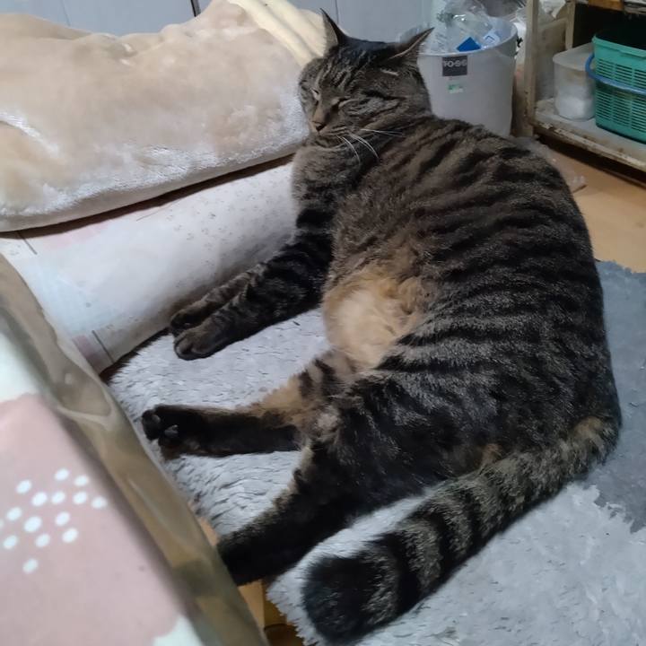 280808cd 5840 4dcf 8d8a 72bc4bf92e86 1671403365105