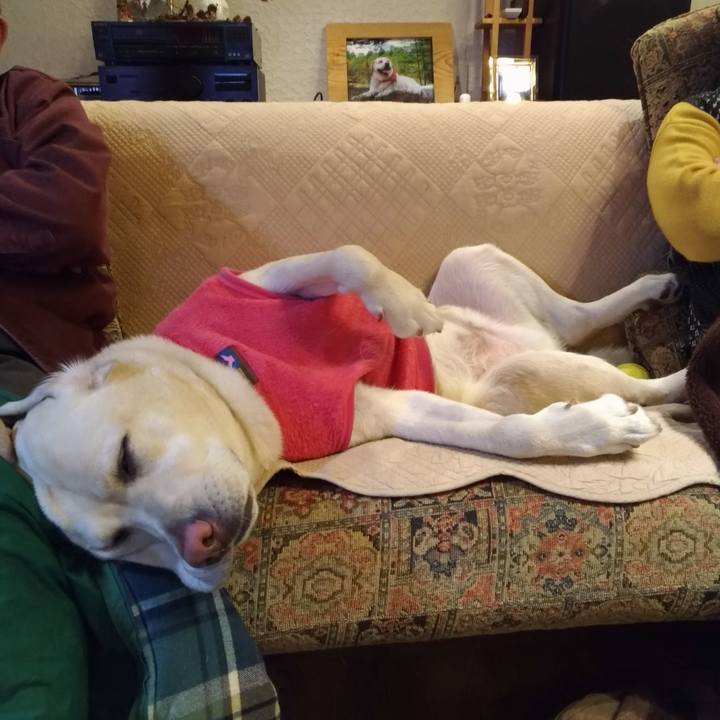 28081608 fad7 40e9 b920 01acf7a5ed55 1577903904840