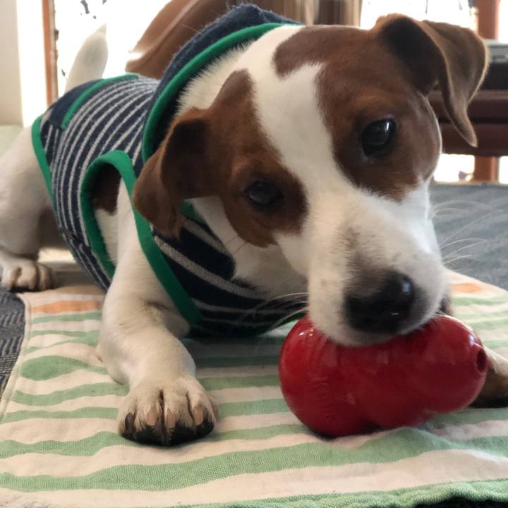 28081d61 e8de 4208 9546 349ec36db6ea 1548482308886