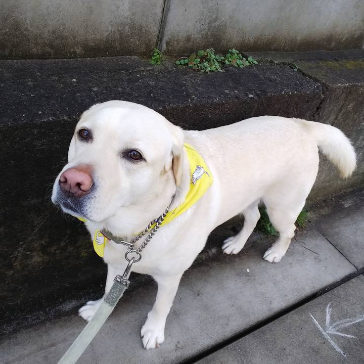 2808822b 2eee 4438 93a7 e83022e1d44d 1581916845182