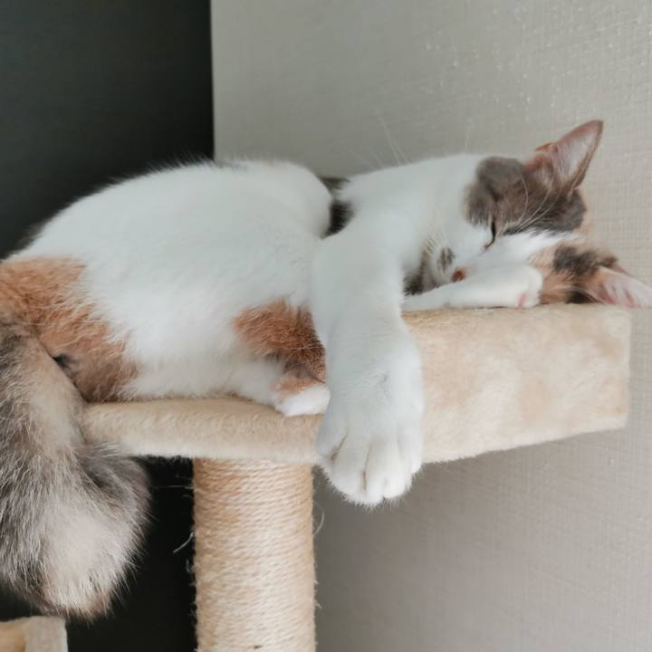 280885d6 4b1c 4eef 8658 967c09a8626c 1634011437618