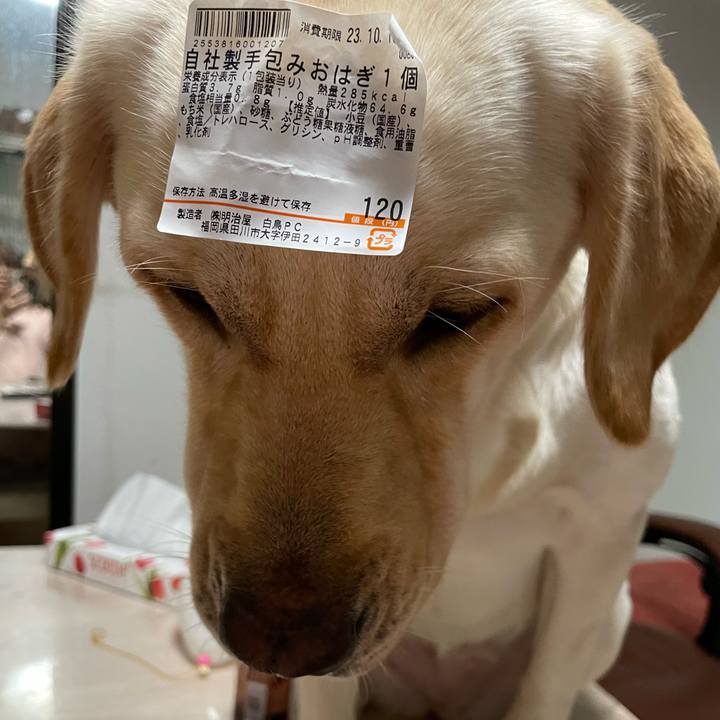 2808881a f430 4197 880d 06ffe7172098 1697196029817