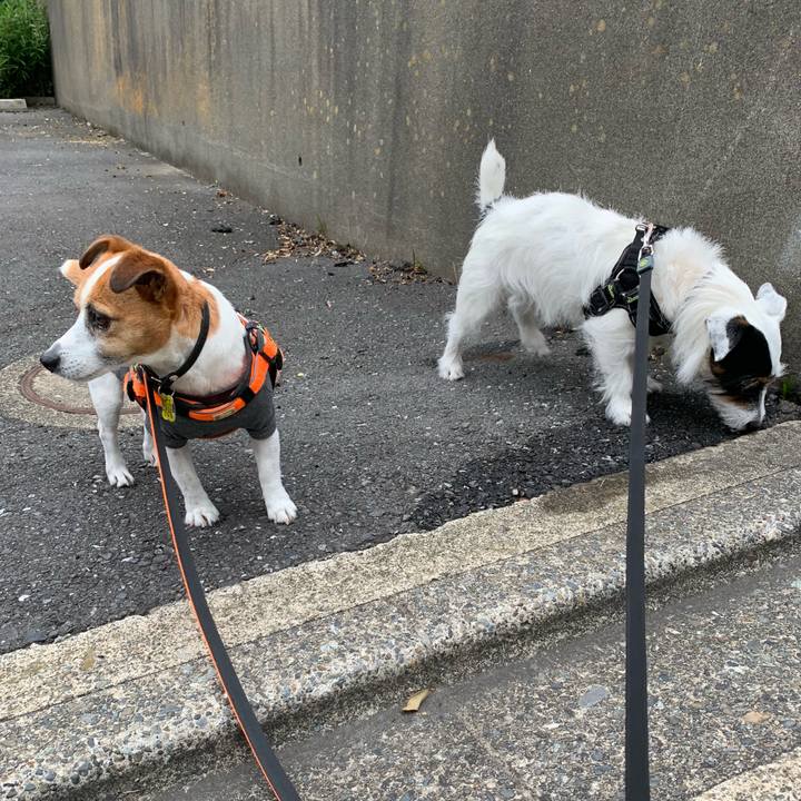 2808bab4 3c6f 4d6f 9f2e 330fe082939f 1560241438106