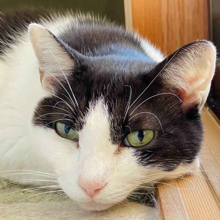 2808f47f 8208 4e4b 9962 96d3635ae554 1635560300548