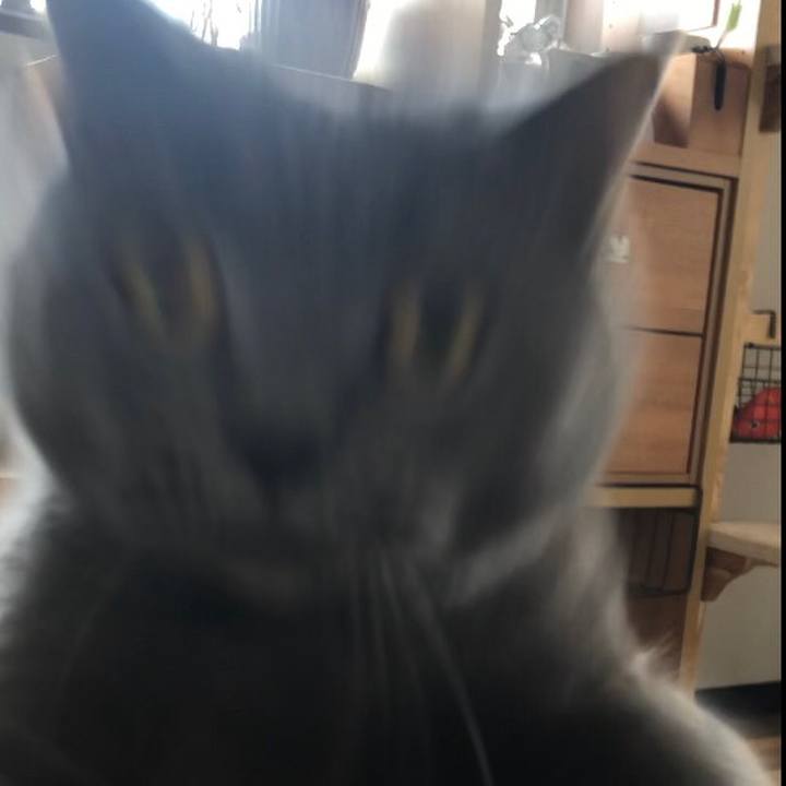 280943d6 0c4d 4638 9396 b61c58f5ec42 1647660072306