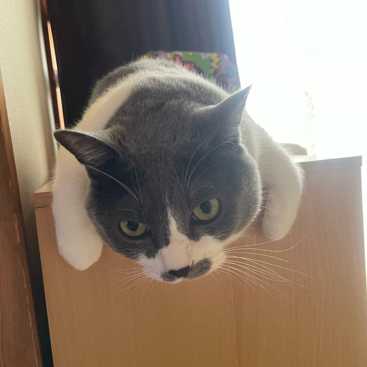 2809774a 6acd 413d 95bf 24db69348635 1727651142337