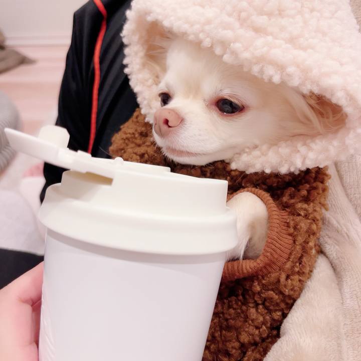 28097766 7eb3 4186 8484 0dfedff36d63 1702043144289