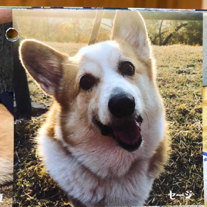 2809a02e d2df 4ce3 a89b bcc1d39b4b65 1568525921490