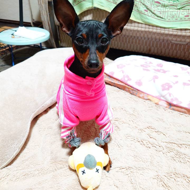 2809c394 7710 42d9 a9d1 7814271d3327 1763910489404