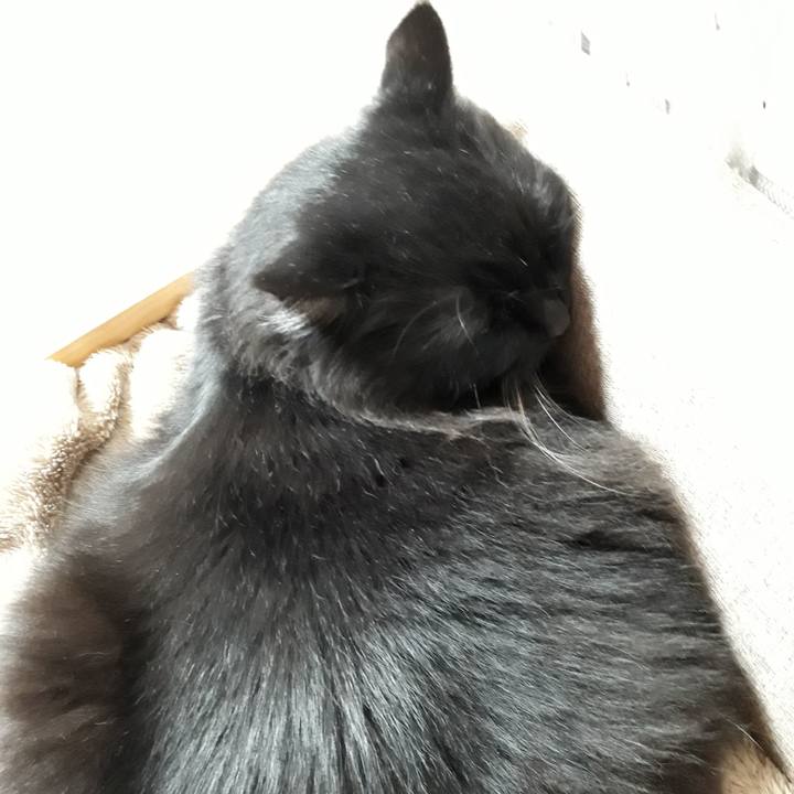 2809c55b 3f1c 422a 811b b8380e6d1e7f 1521802534118