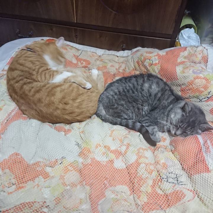 2809dfd2 4b76 40bb a4d2 c7f246d532f0 1572265924298