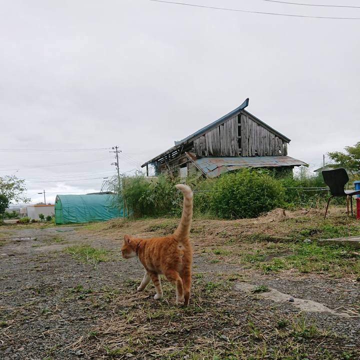 2809ebc9 bffc 46bf 8d53 5e443e7572cb 1601089809572