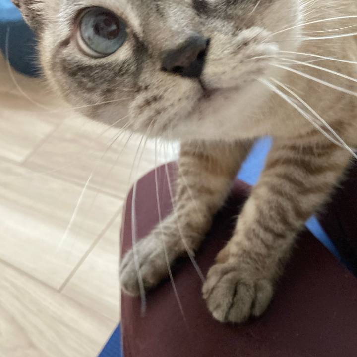 2809fff3 27a0 4c3c af43 d3ee9330ad07 1763873062209