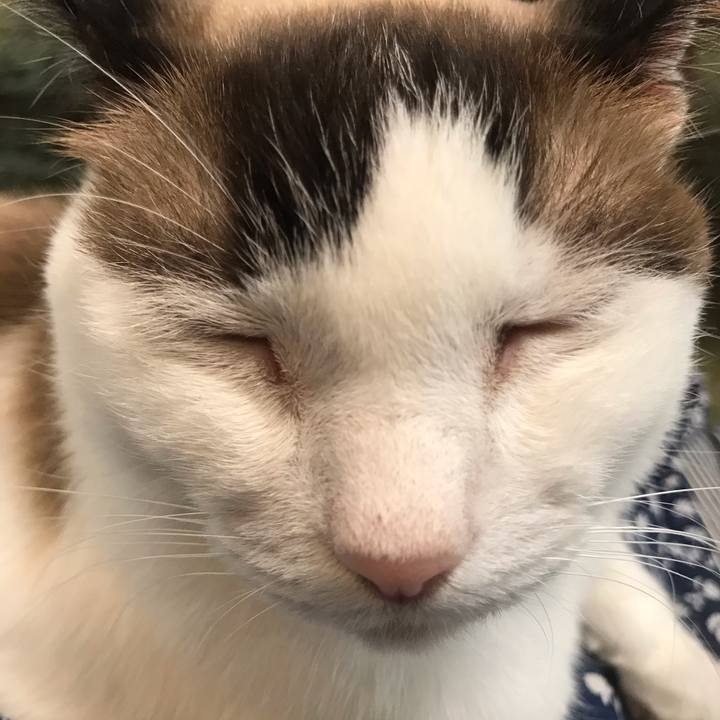 280a1b5b 9df8 43ee 8f07 5cdb508c6551 1594811234378