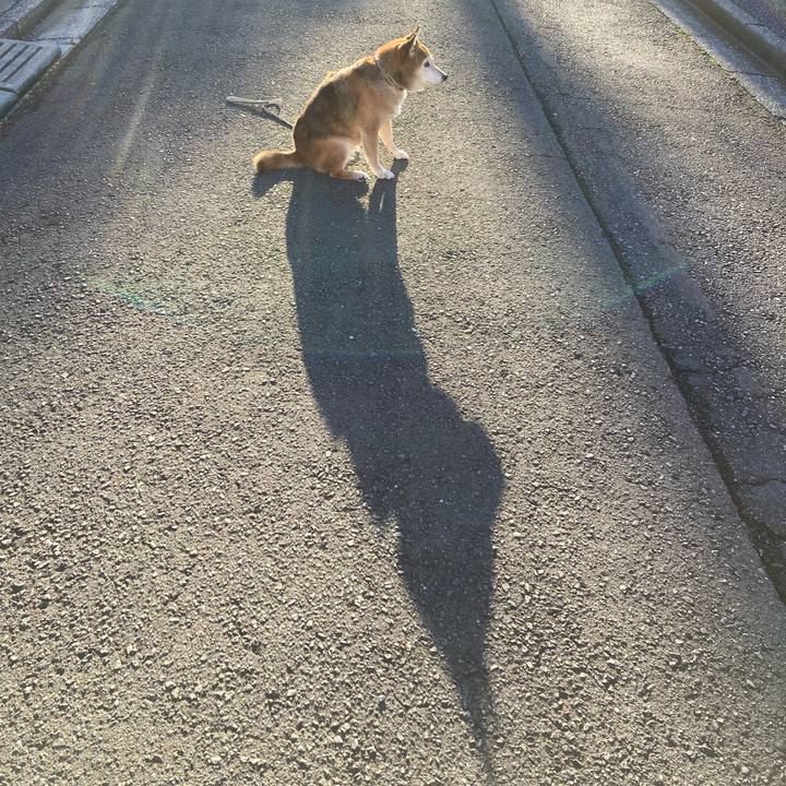 280a2f68 0752 41c7 bf52 1ee2e16a8f84 1732752298806