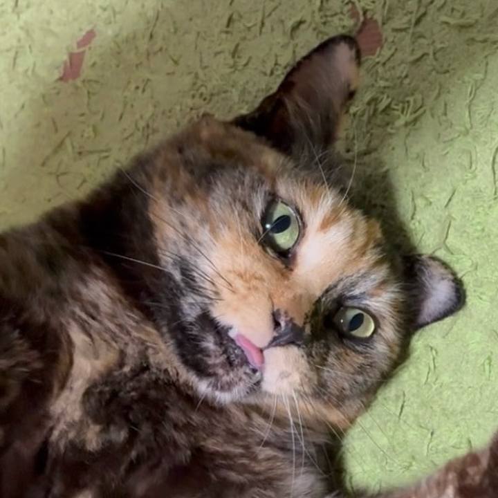 280a39df 1200 42c3 bdf5 7785e5d9e387 1771792915704