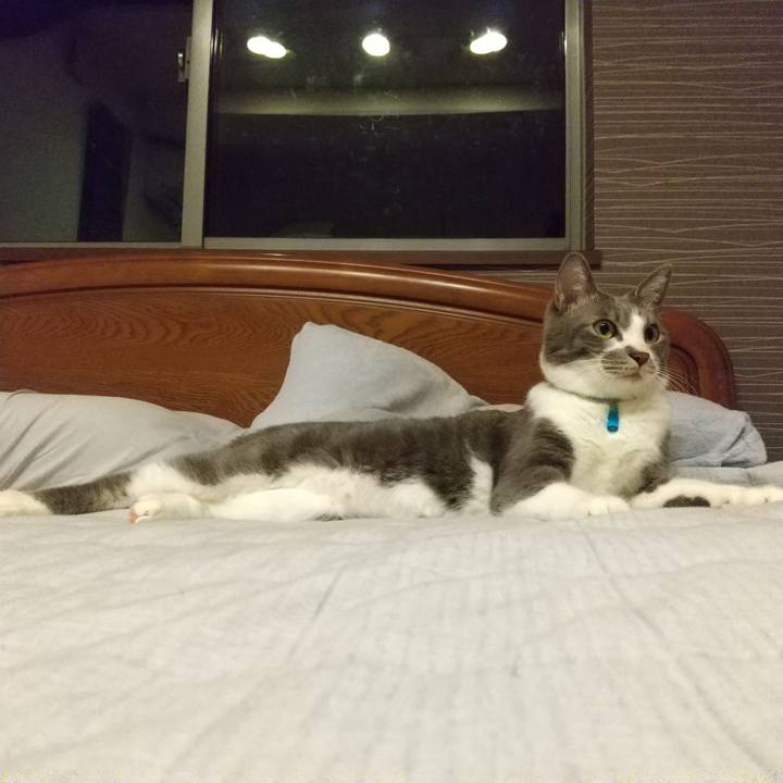 280a4042 cf8b 4c3b ac7d a0fc6cbfa361 1619013281175