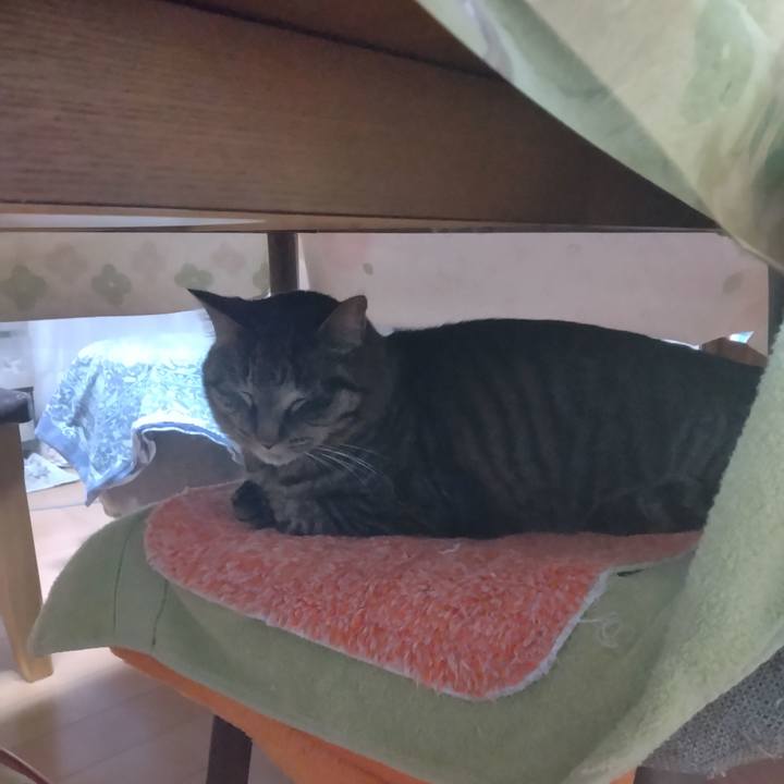 280a5bae c3b5 4b52 8adb c4a345b92978 1709416690423