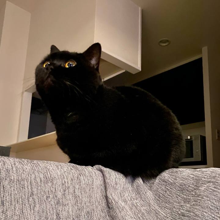 280aa2d7 4e44 4de5 b578 152d7b6e29bc 1740744888307