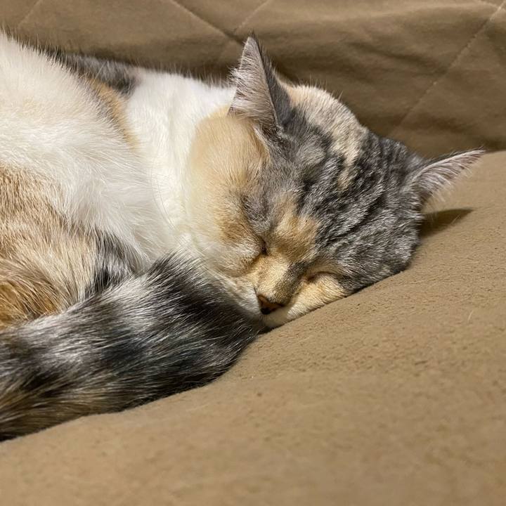 280ad0d6 2c26 45a0 a5a1 6243074227d8 1646096578038