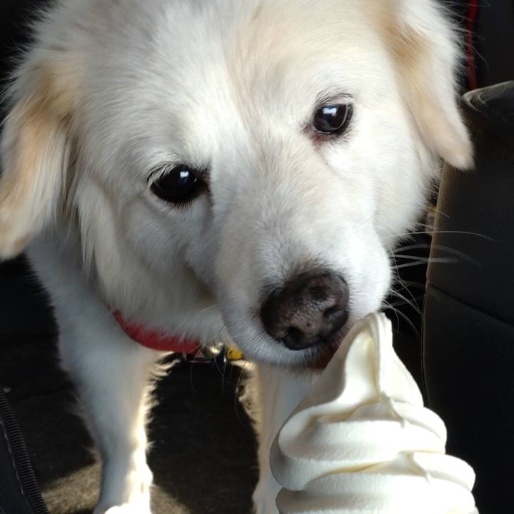 280b0a19 d7f5 4db5 9cec d23c085741dd 1646547950825