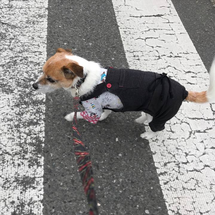 280b54bd 4851 45ff a91a 708b7976c41a 1575875417383