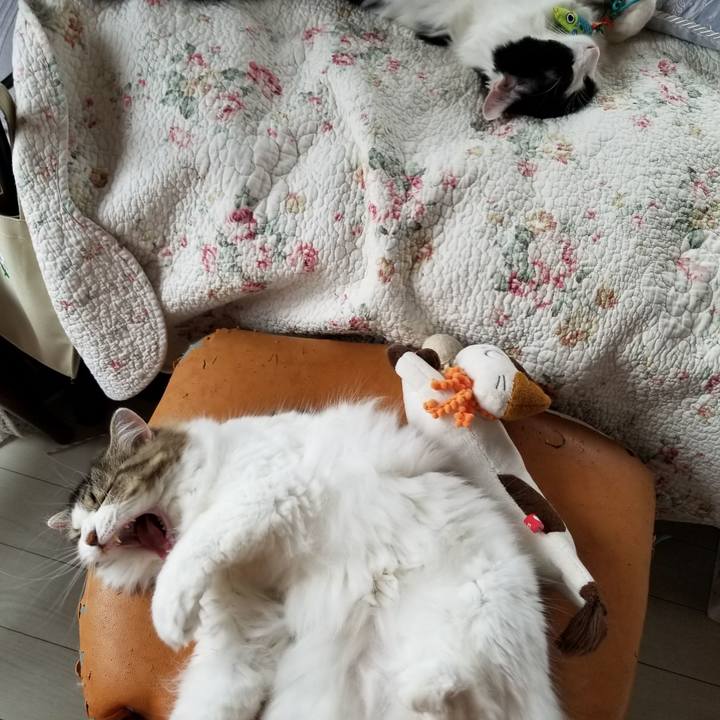 280ba3dd fd8b 461f 8f57 f3b58428b92b 1538342534936