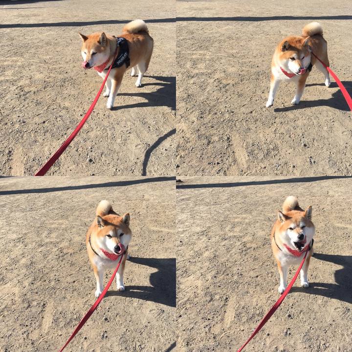 280bbff6 e502 4ee4 ab43 006c354f86af 1608956466614