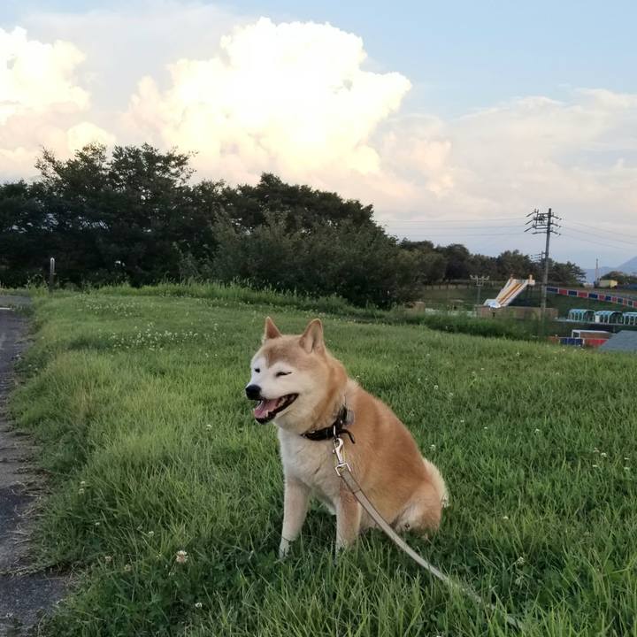 280bc65e e203 4faa a915 264736ee42ef 1659086473477