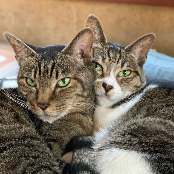 280bffa7 8954 4e9e 8adf e978e7efca41 1573602156973