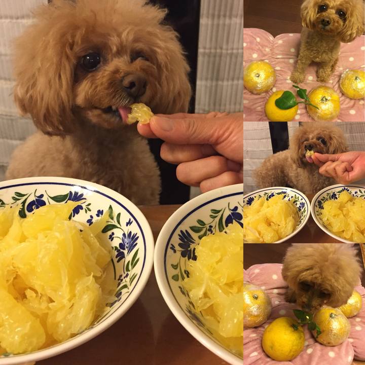 280c2506 7e4e 453d 9d6f b44b149dd728 1521035158582