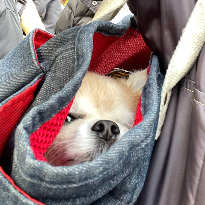 280c98b4 30a6 4c88 af9e 3a59835125c7 1767482338112