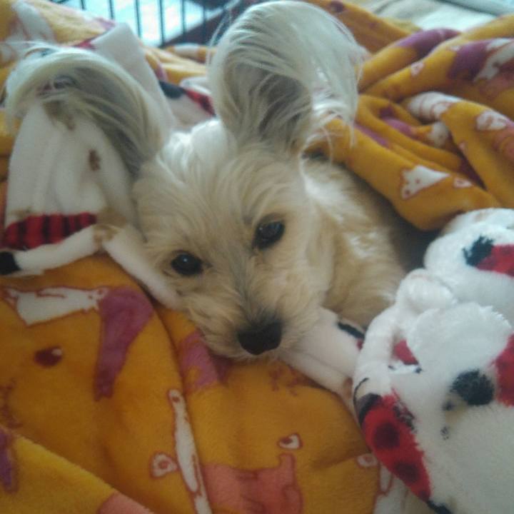 280cb6fb e646 4351 bb93 849c9f90c3d7 1520313142715