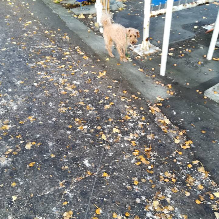 280cbff3 e72a 4df7 a7de 05d61a30c64b 1572653955022