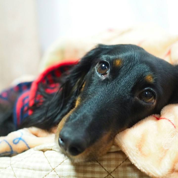 280cd566 aa50 4067 8d3b f9119ebd0074 1520216385889