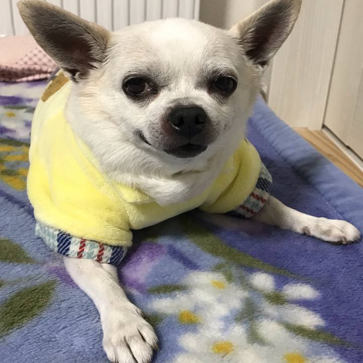 280cd6a9 eb2d 4f7f b49f 0e1cf47bc5ff 1645060362572