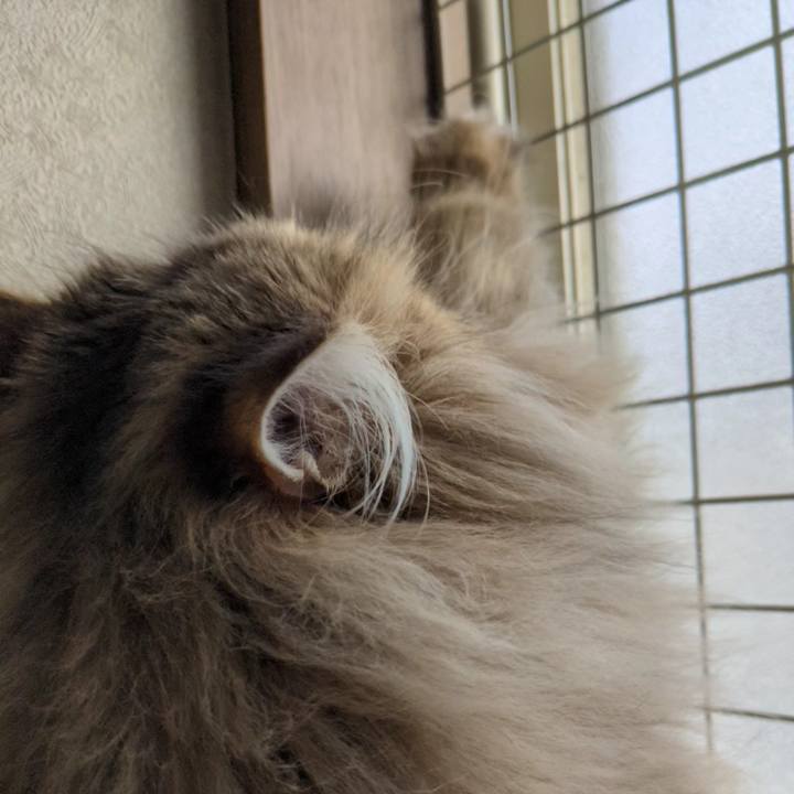 280cfeba 5fee 4d4a a5d5 efee7867a32f 1706231054505