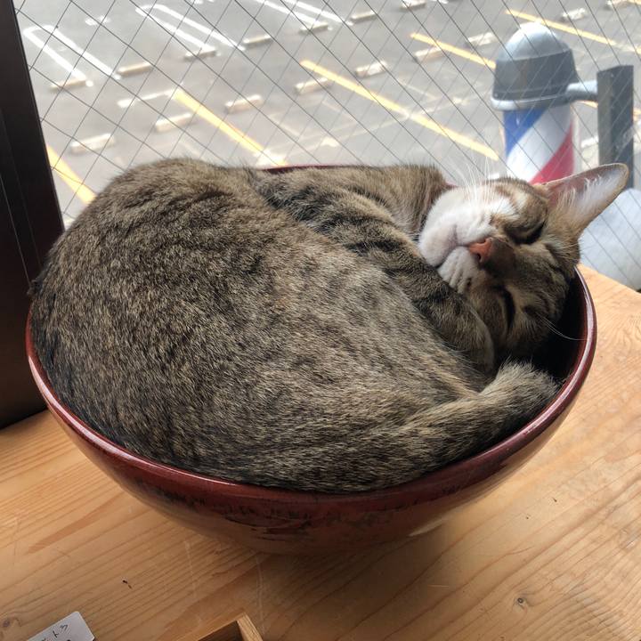 280d1d49 a435 47d8 8de5 632ec41abf7e 1655703697657